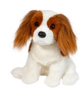 Kingsley Charles Cavalier Spaniel