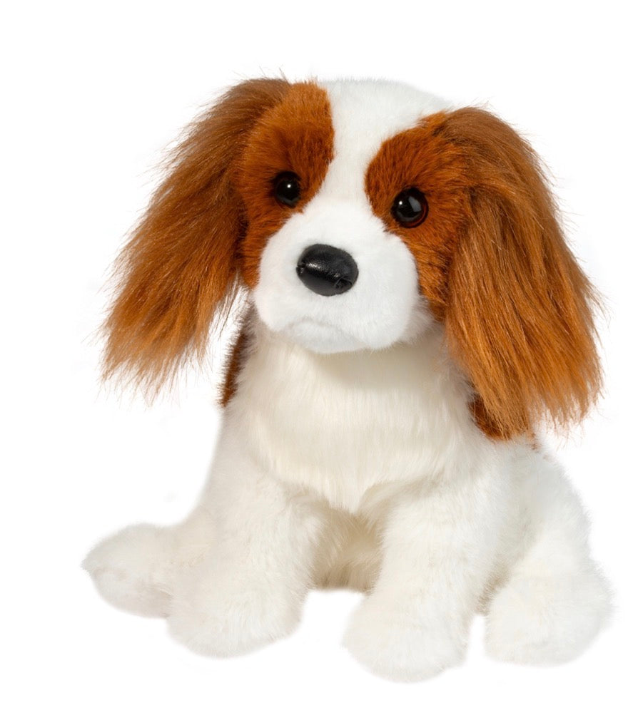 Kingsley Charles Cavalier Spaniel