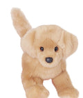 PREORDER Bella Golden Retriever