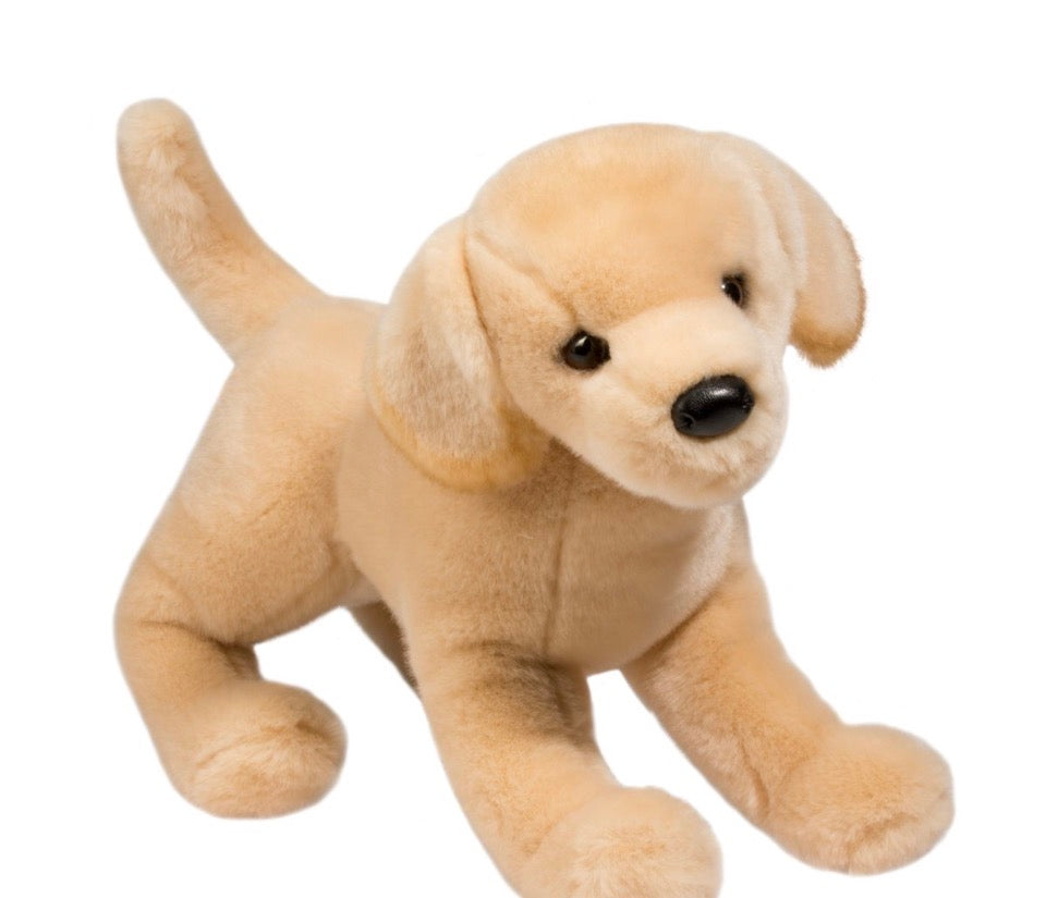 Mandy Yellow Lab Douglas