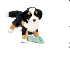 PREORDER Trevor Bernese Mountain Dog