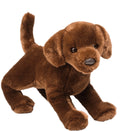 PREORDER Cocoa Chocolate Lab