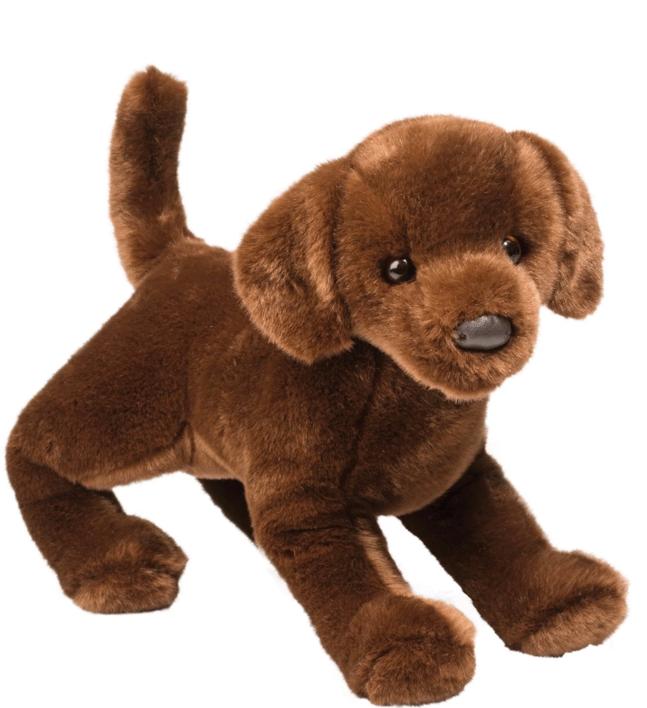 PREORDER Cocoa Chocolate Lab