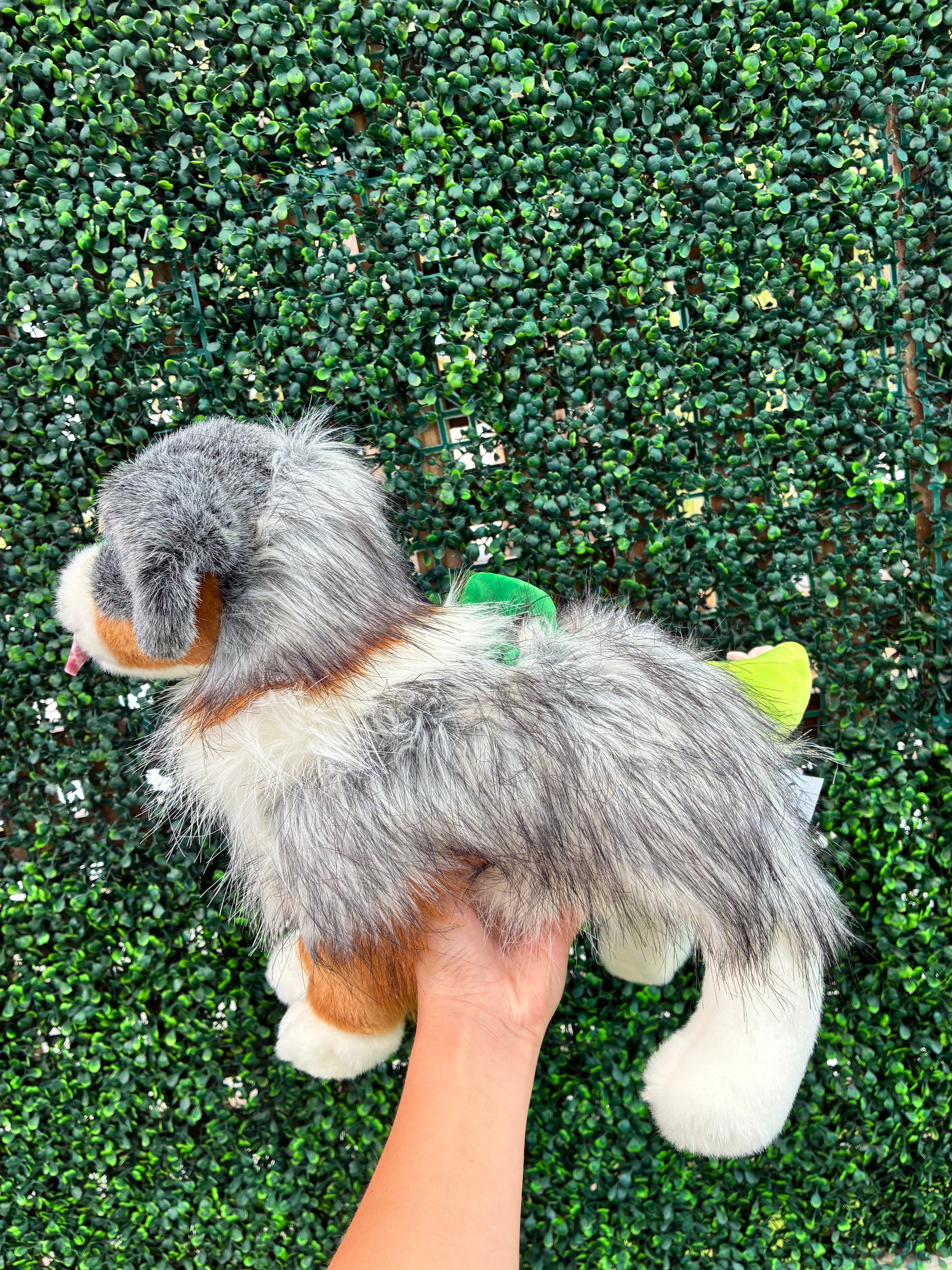 Custom Dino Themed Sinclair, Australian Shepherd, Douglas