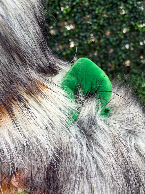 Custom Dino Themed Sinclair, Australian Shepherd, Douglas