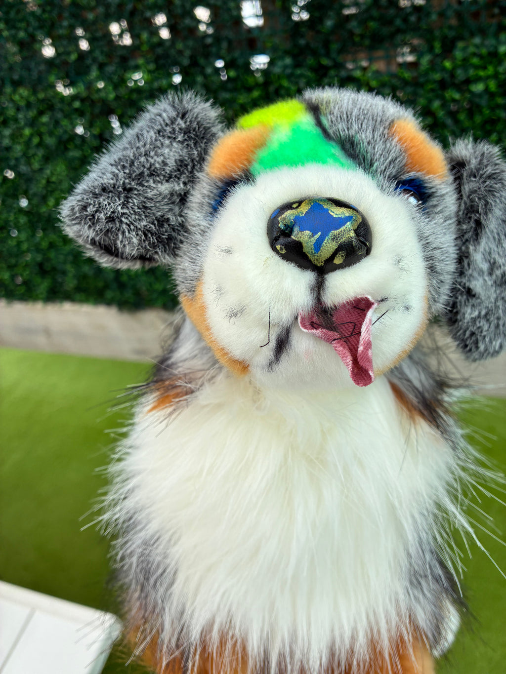Custom Dino Themed Sinclair, Australian Shepherd, Douglas
